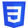 CSS-2-250x300
